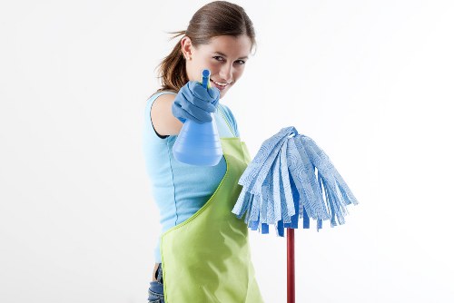 Professional carpet cleaning appointment in a UK home