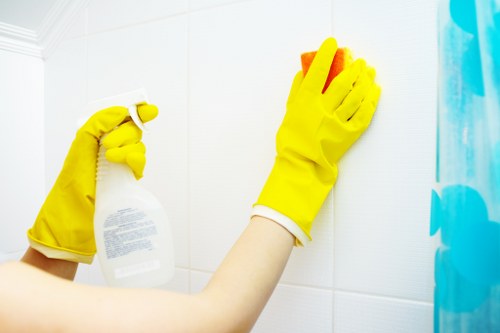 WCAG 2.1 AA accessibility commitment for local carpet cleaning services