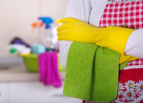 Cleaner assessing carpet cleaning risks in a home or office