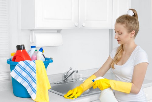 Cleaners in W14 delivering domestic and office cleaning services